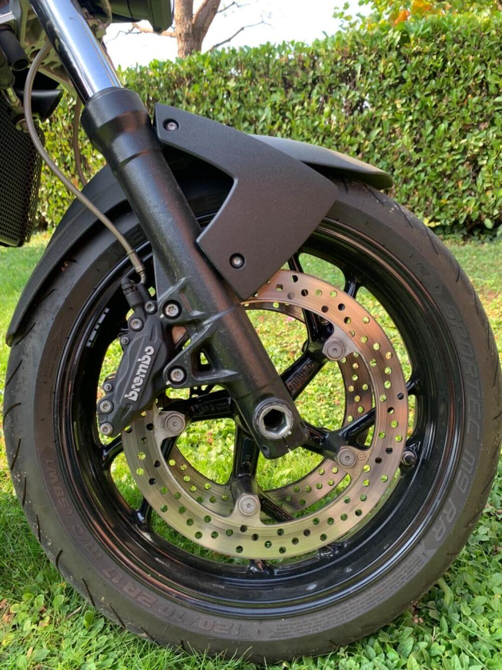 Bmw F 800 R (2009 - 11) (6)