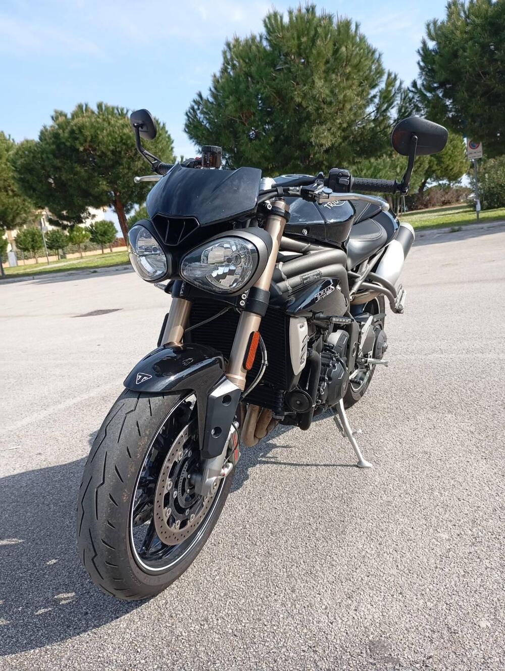 Triumph Speed Triple 1050 S ABS (2016 - 17) (10)