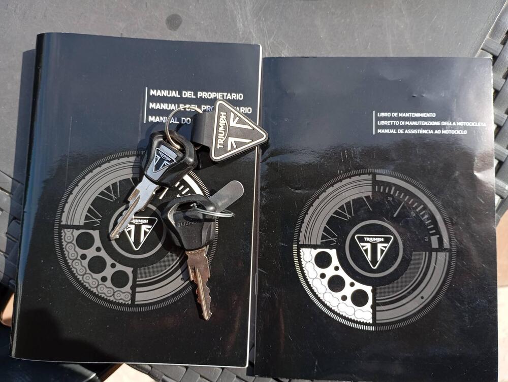 Triumph Speed Triple 1050 S ABS (2016 - 17) (12)