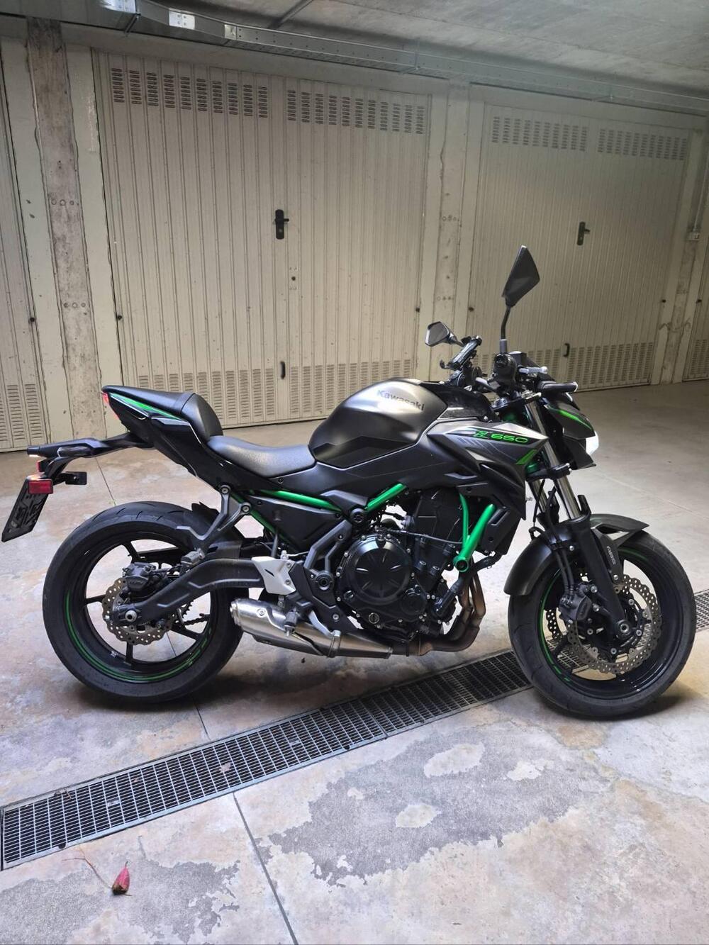 Kawasaki Z 650 (2021 - 24)