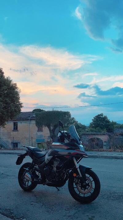 Voge Valico 500DS (2021 - 24) usata