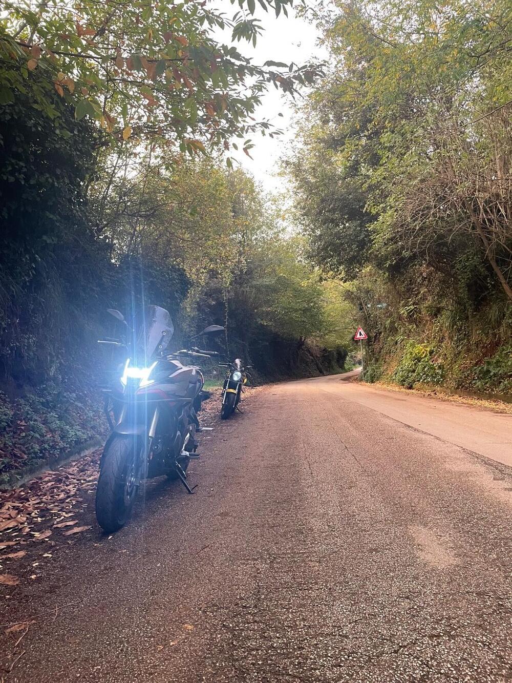 Voge Valico 500DS (2021 - 24) (7)