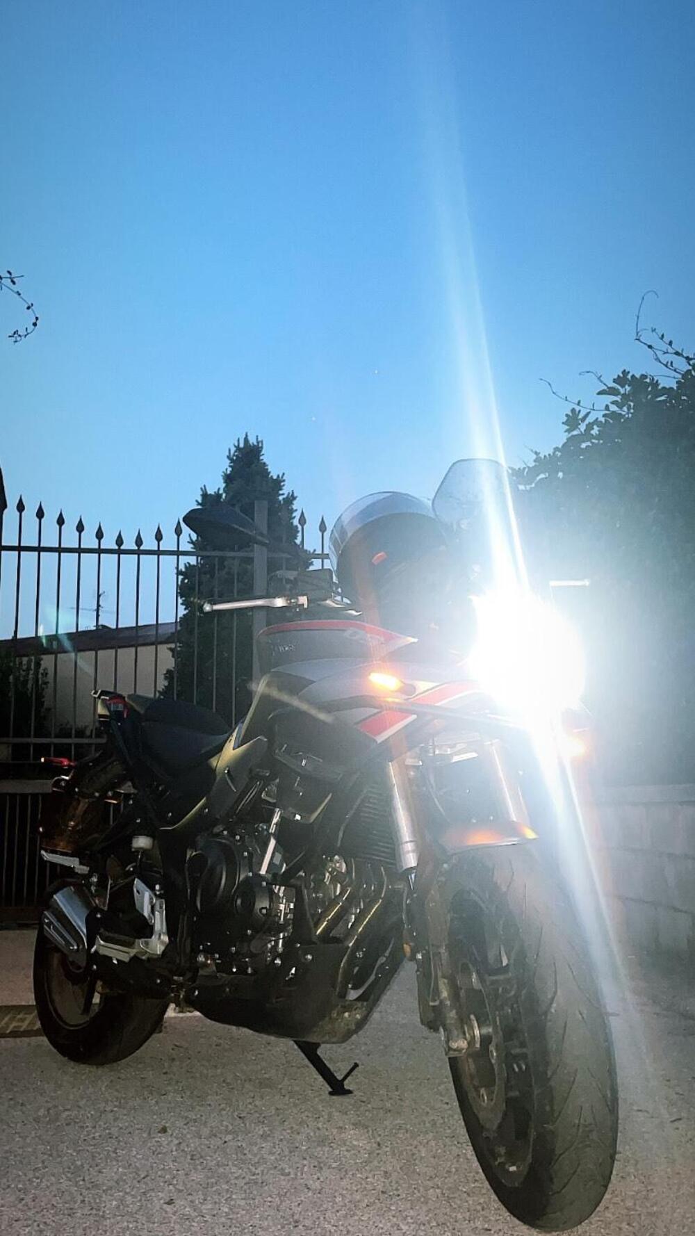 Voge Valico 500DS (2021 - 24) (11)