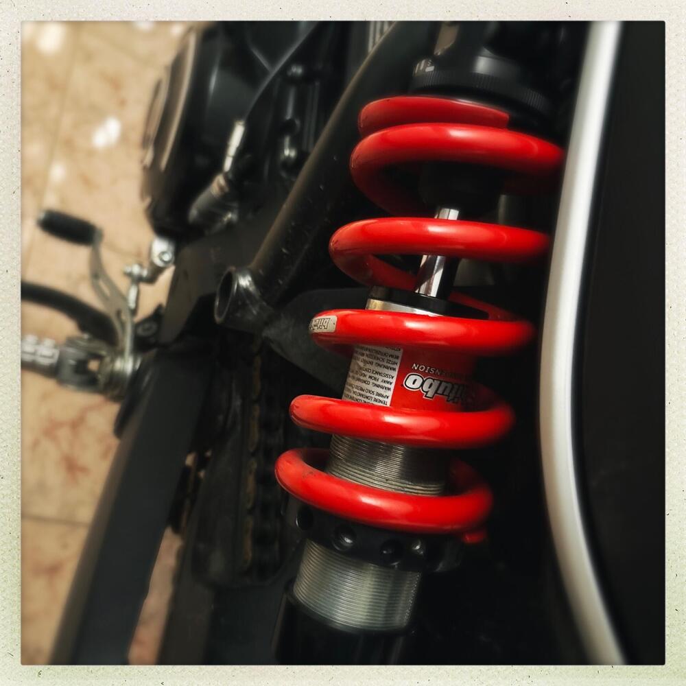 Ducati Scrambler 800 Icon (2021 - 22) (9)