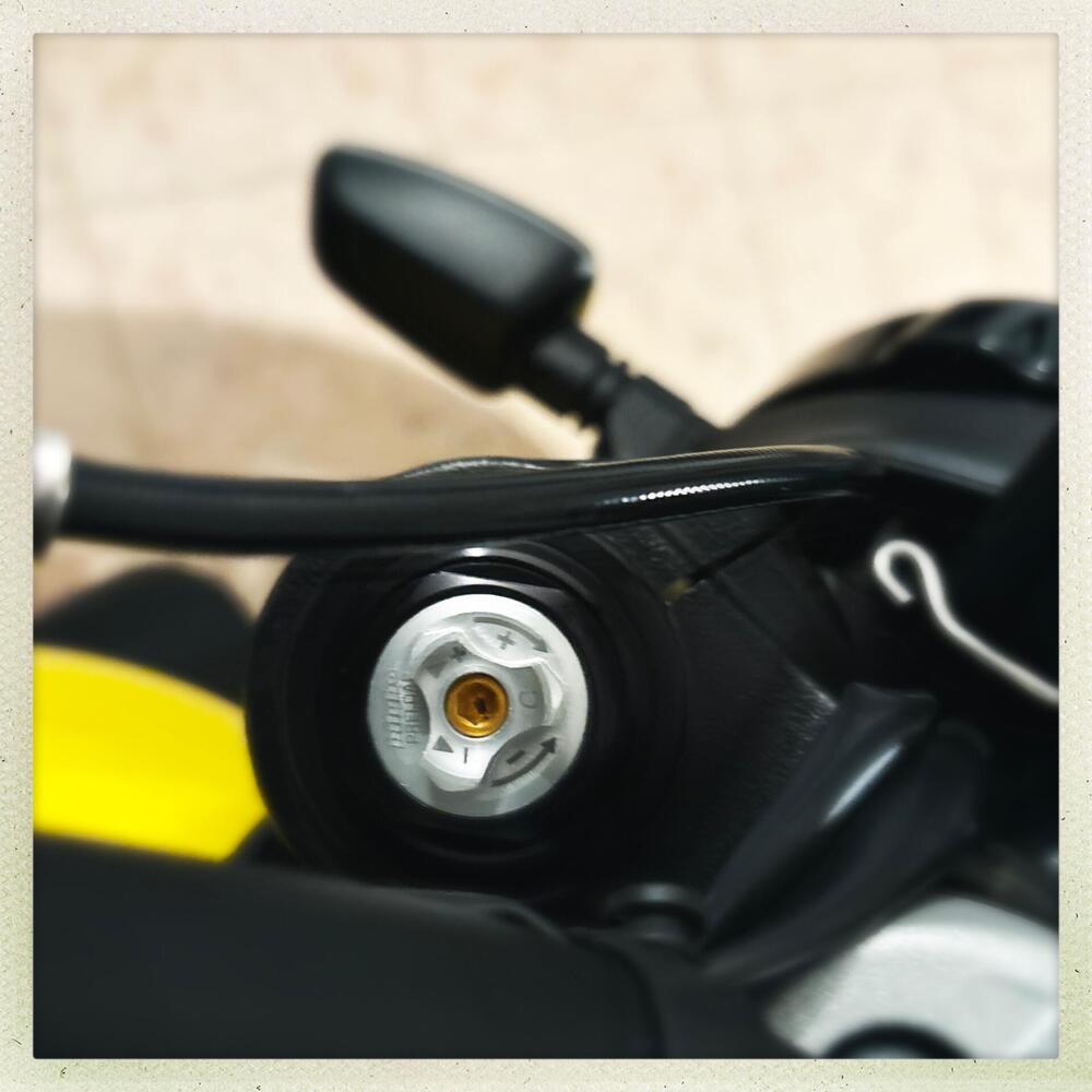 Ducati Scrambler 800 Icon (2021 - 22) (10)
