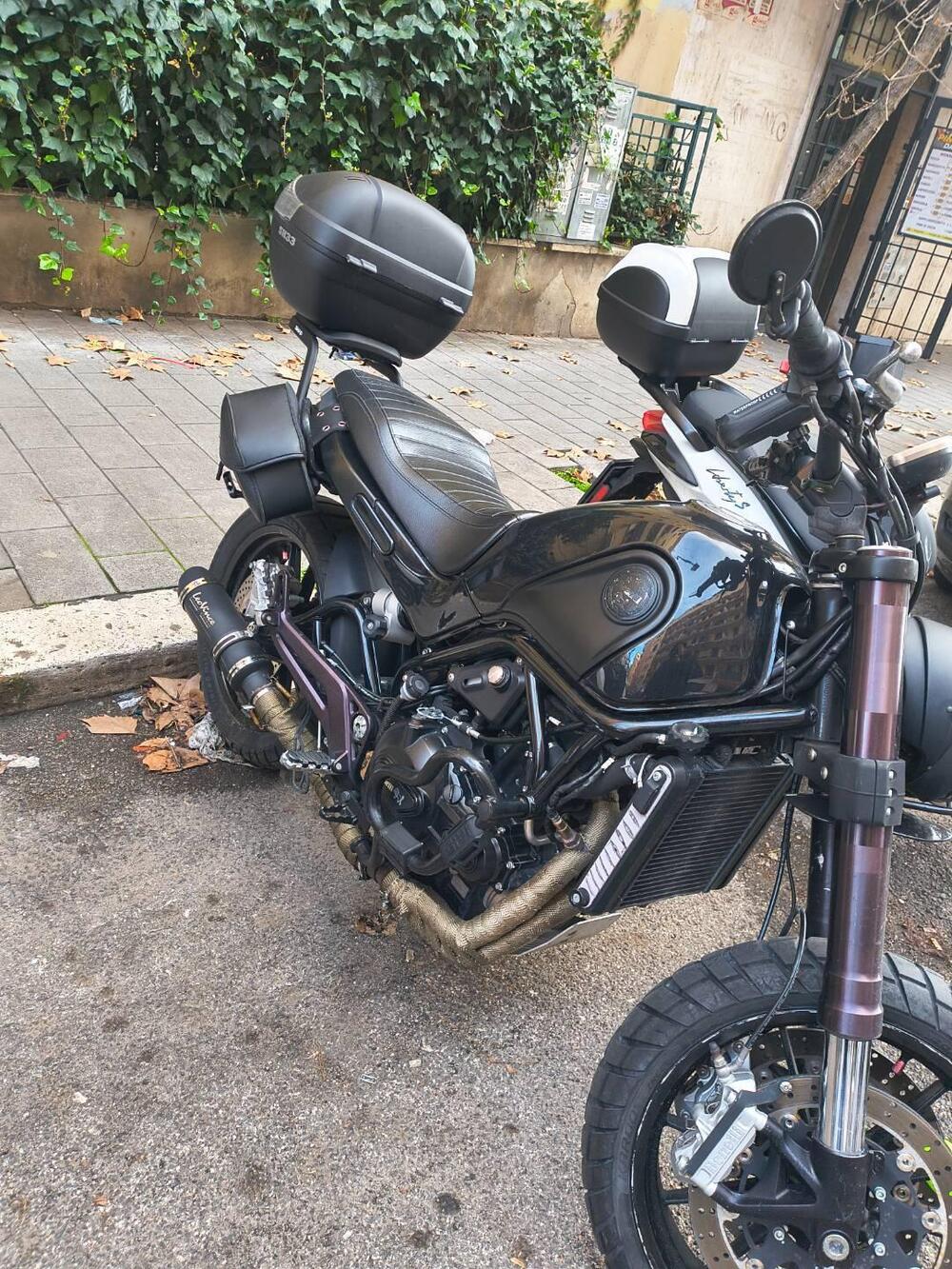 Benelli Leoncino 500 ABS (2017 - 20) (3)