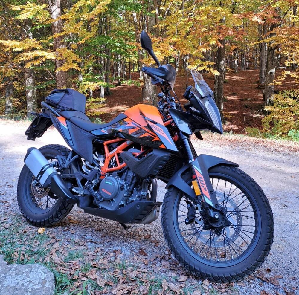 KTM 390 Adventure SW "Spooked Wheels" (2023 - 24) (6)