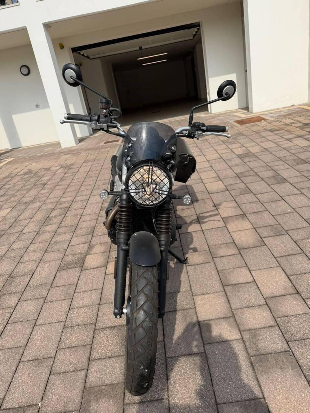 Triumph Street Scrambler 900 (2017 - 18) (5)