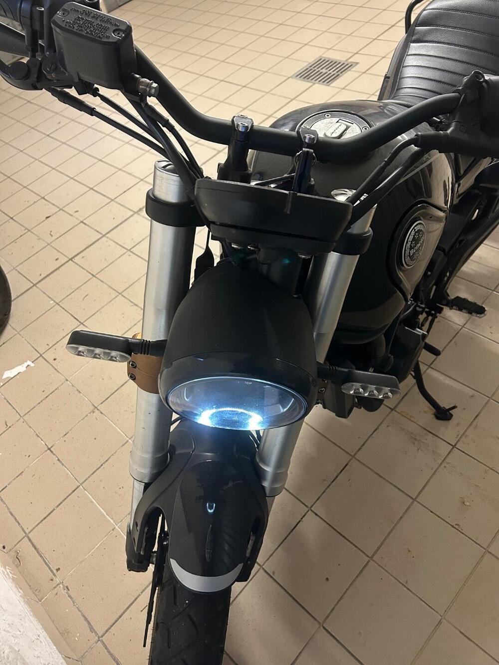 Benelli Leoncino 500 Trail (2021 - 26) (5)