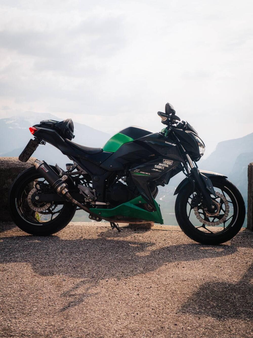 Kawasaki Z 300 ABS (2015 - 16) (2)