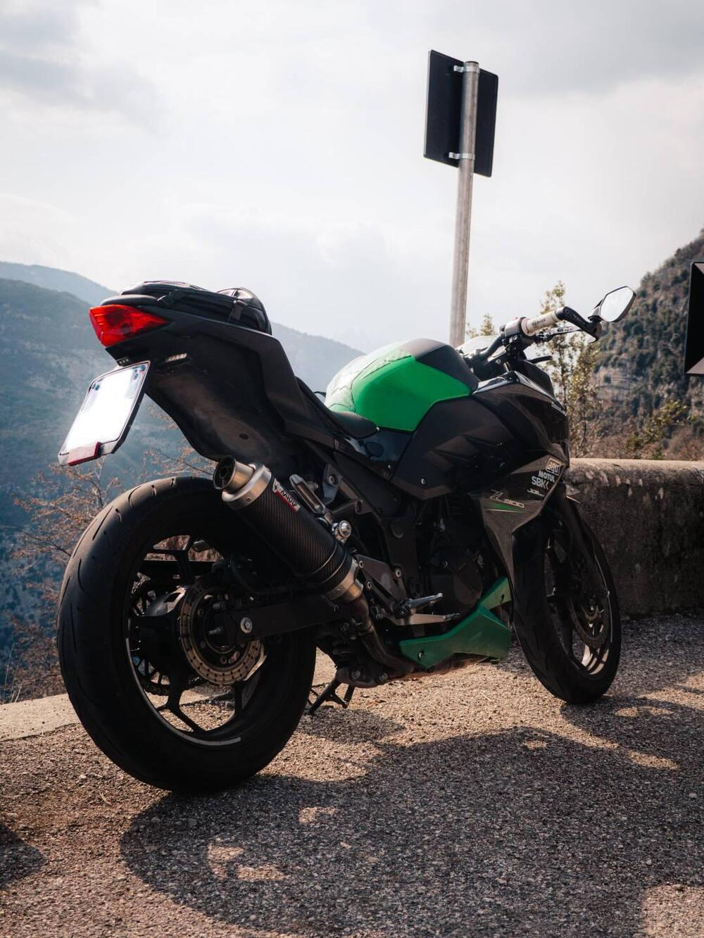 Kawasaki Z 300 ABS (2015 - 16) (4)