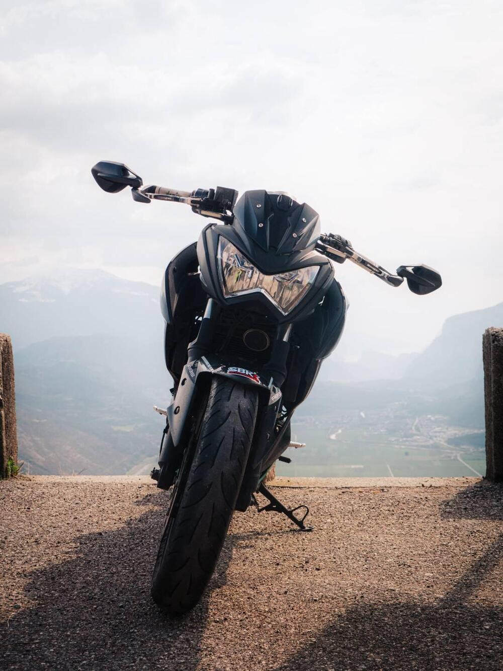 Kawasaki Z 300 ABS (2015 - 16) (6)