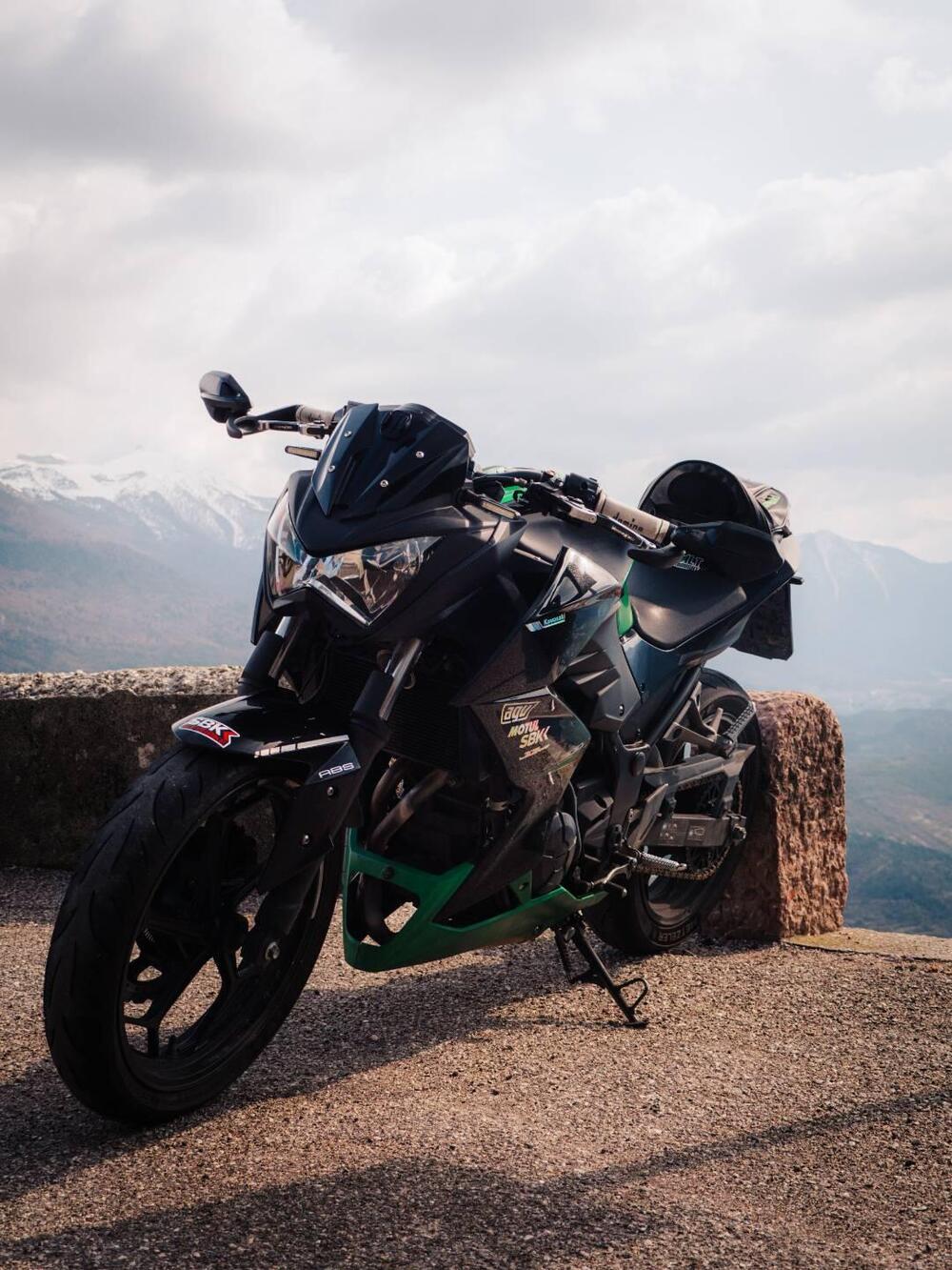 Kawasaki Z 300 ABS (2015 - 16) (5)