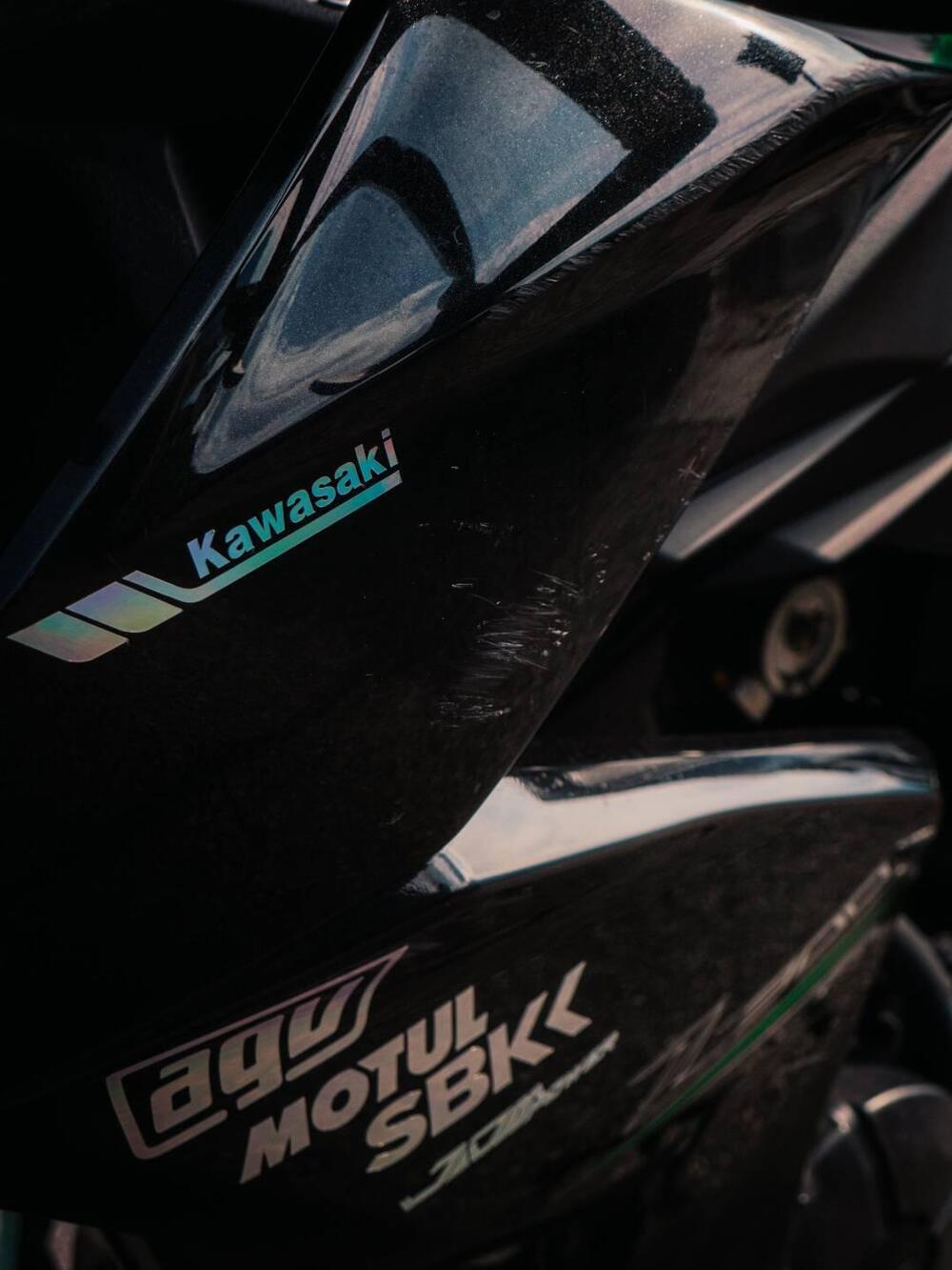 Kawasaki Z 300 ABS (2015 - 16) (9)