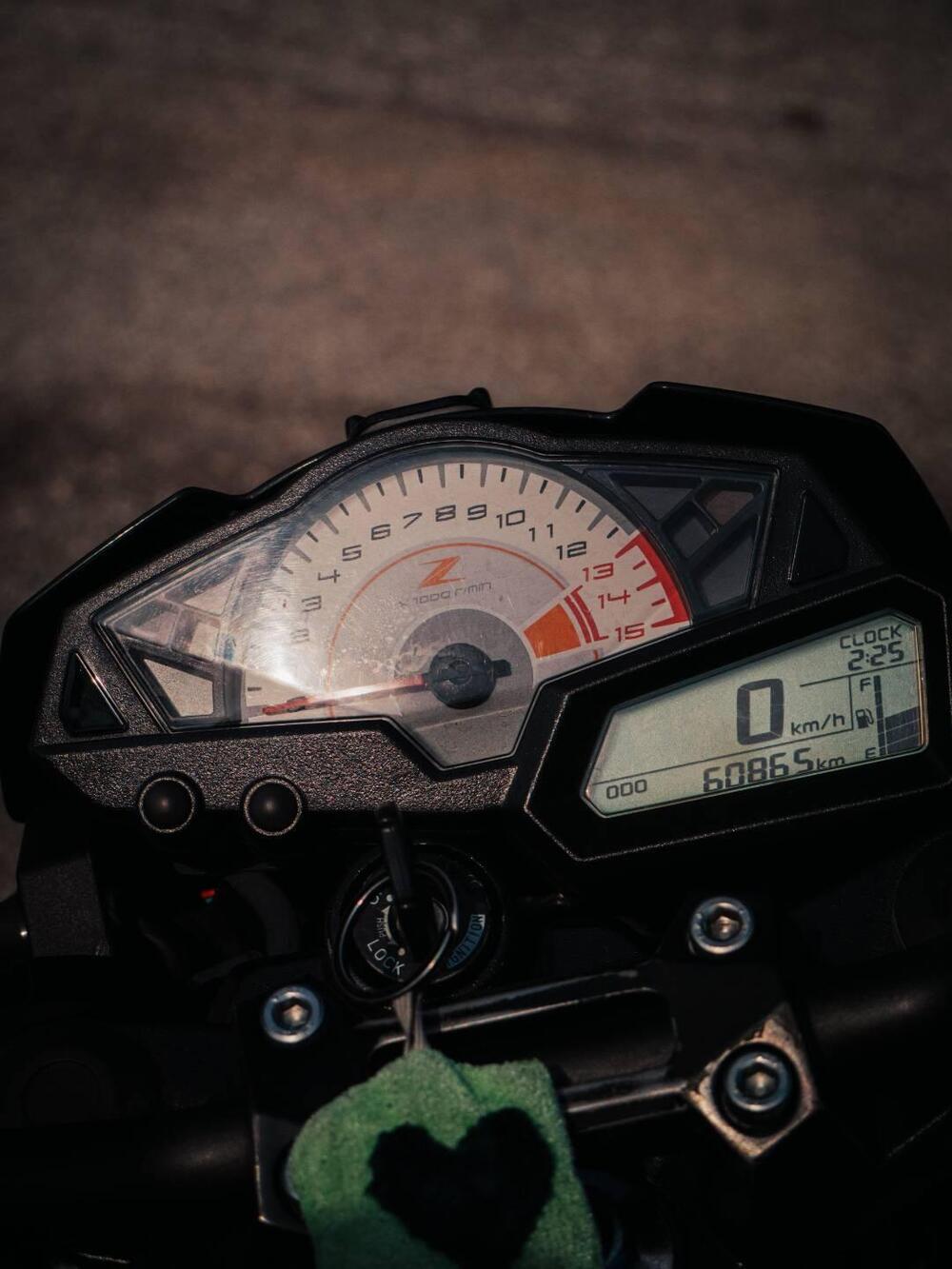 Kawasaki Z 300 ABS (2015 - 16) (7)