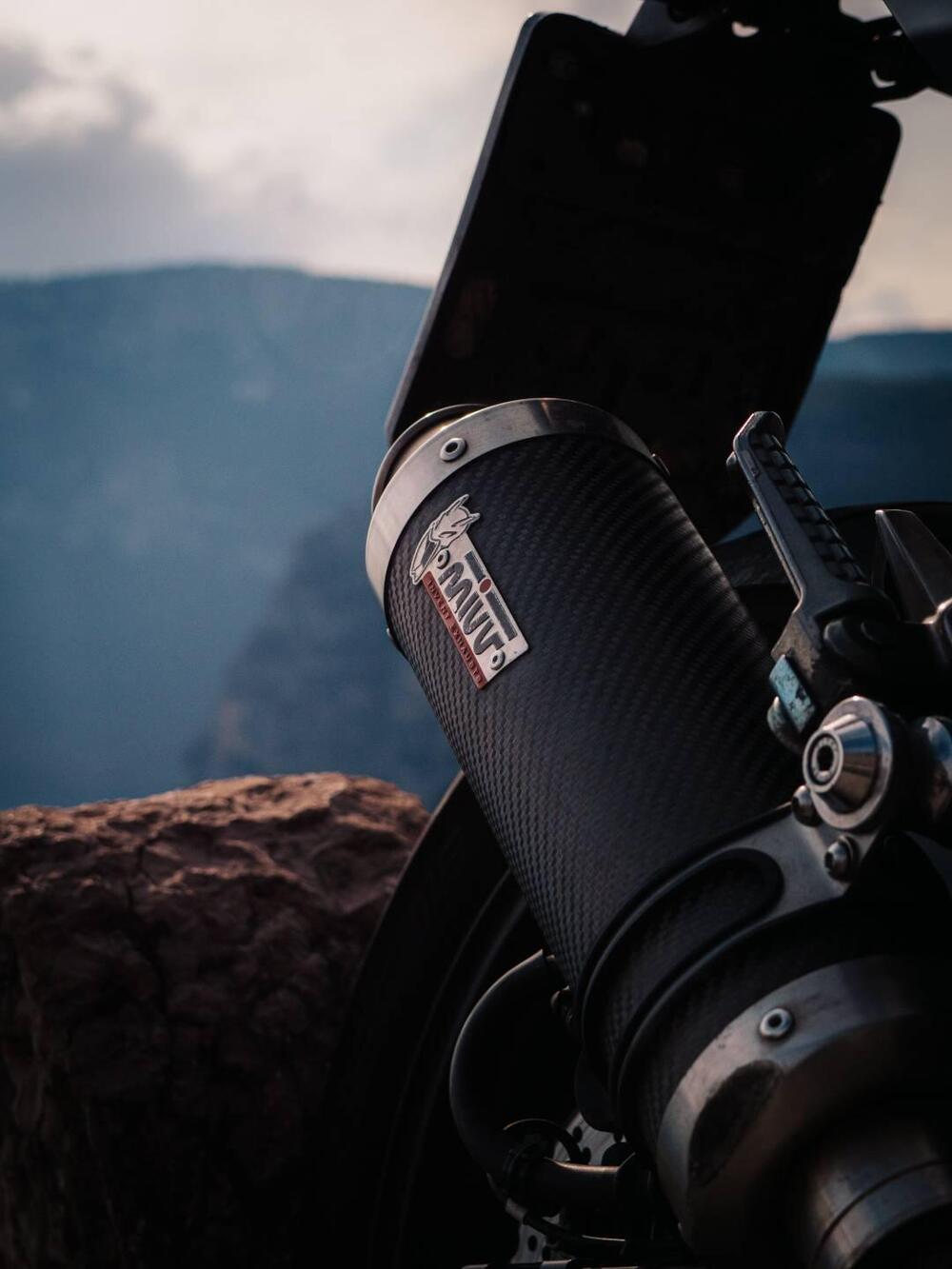 Kawasaki Z 300 ABS (2015 - 16) (8)