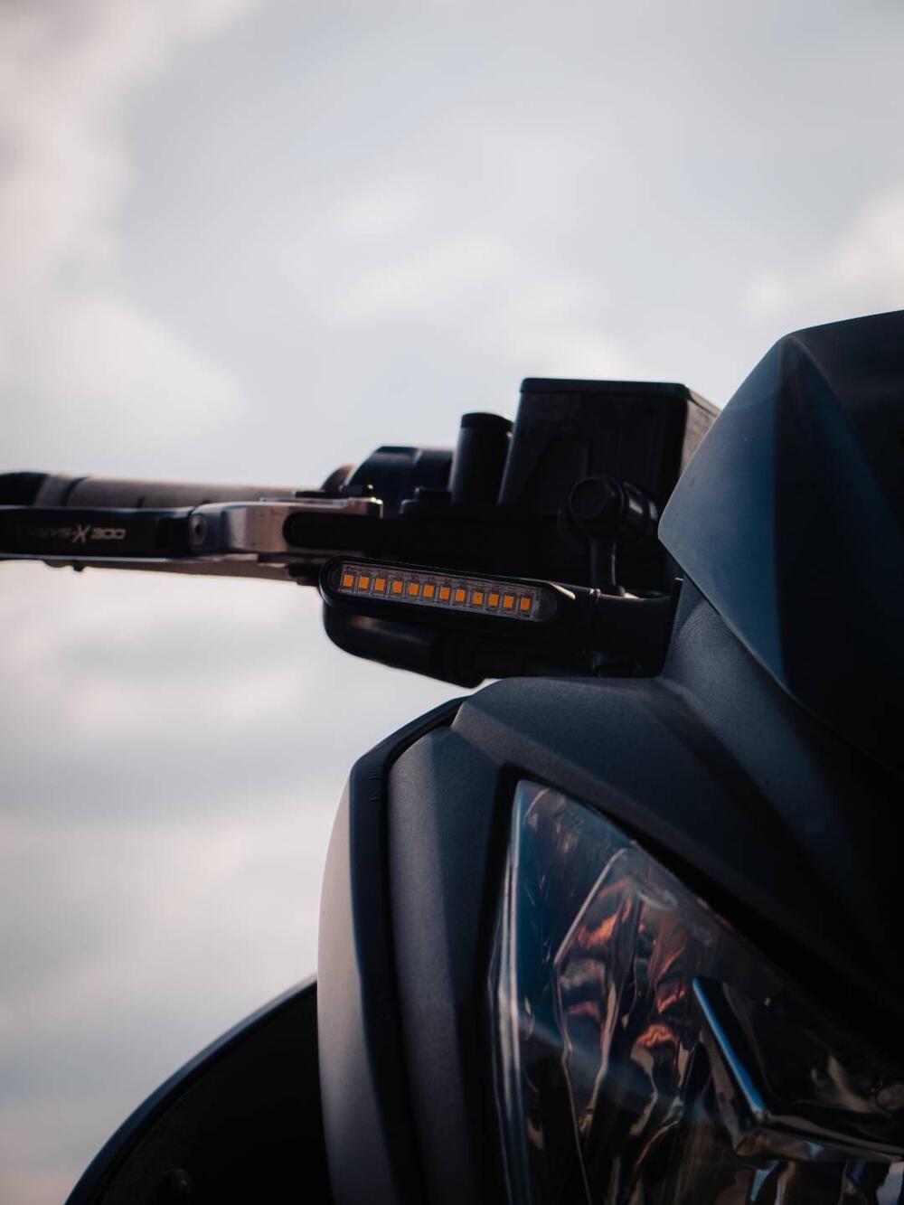 Kawasaki Z 300 ABS (2015 - 16) (10)