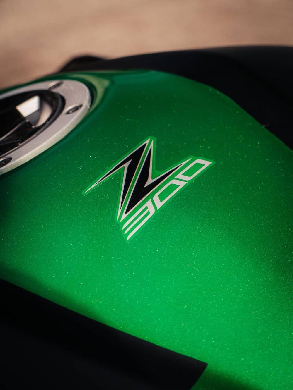 Kawasaki Z 300 ABS (2015 - 16) (11)