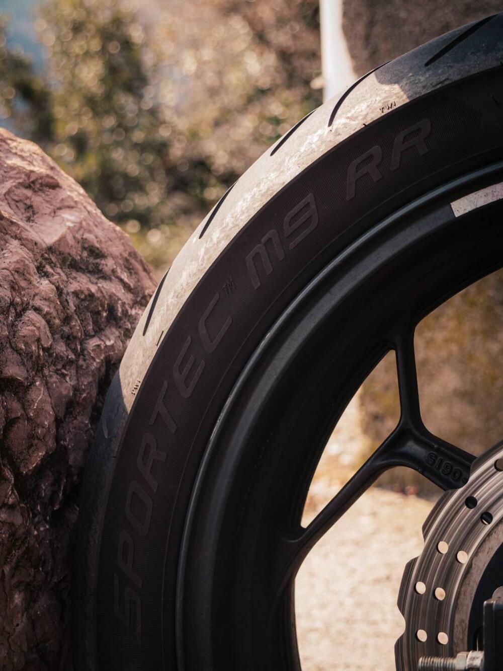 Kawasaki Z 300 ABS (2015 - 16) (13)