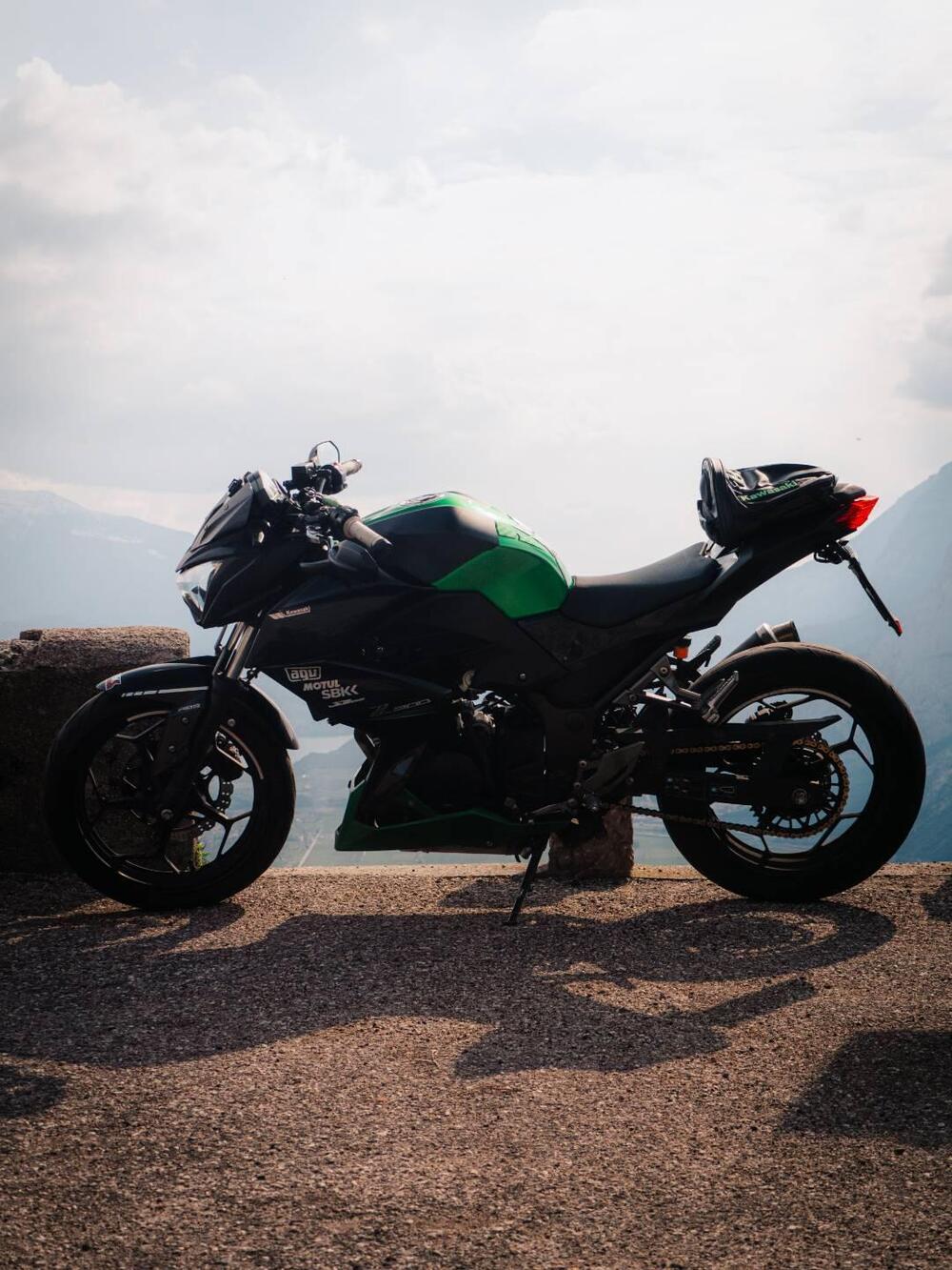 Kawasaki Z 300 ABS (2015 - 16) (3)