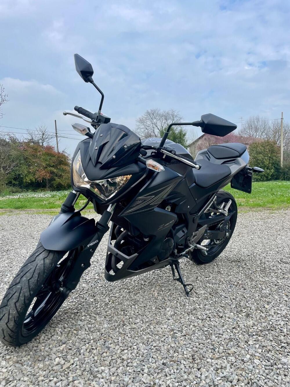 Kawasaki Z 300 ABS (2015 - 16)