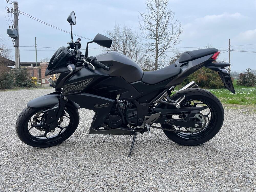 Kawasaki Z 300 ABS (2015 - 16) (2)