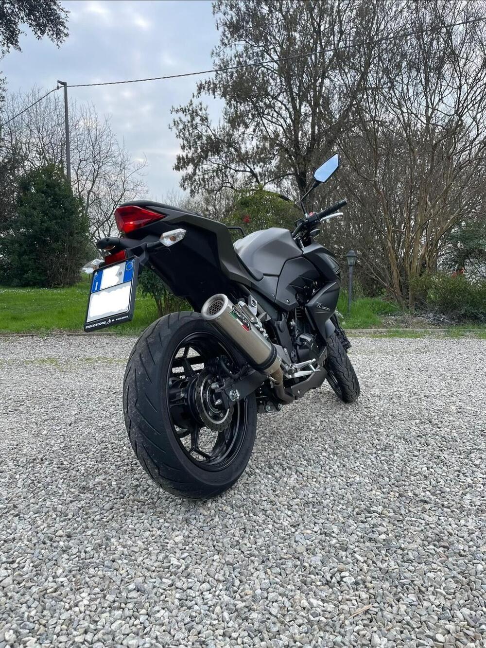 Kawasaki Z 300 ABS (2015 - 16) (3)