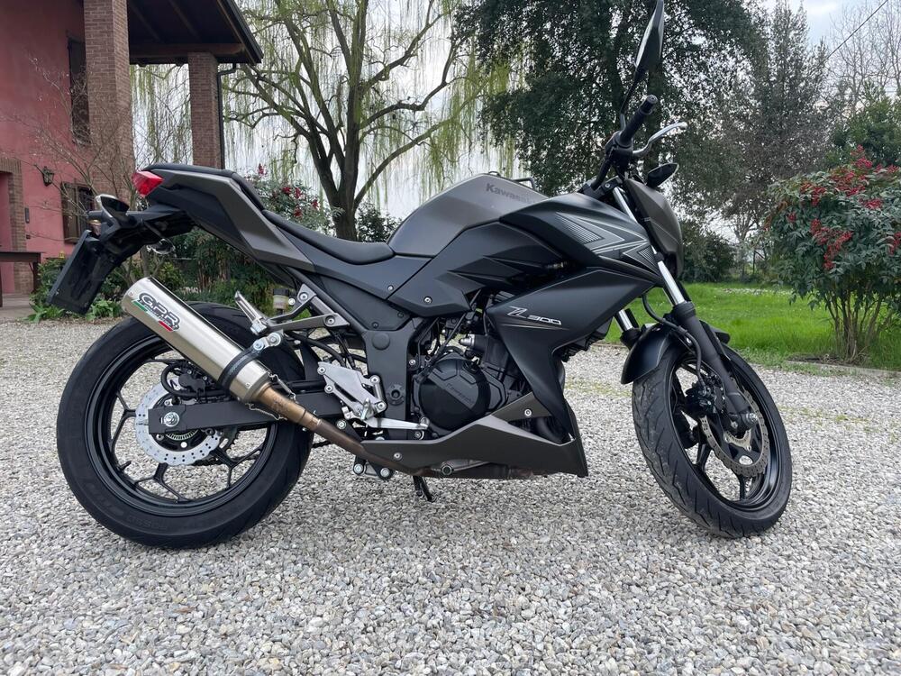 Kawasaki Z 300 ABS (2015 - 16) (4)