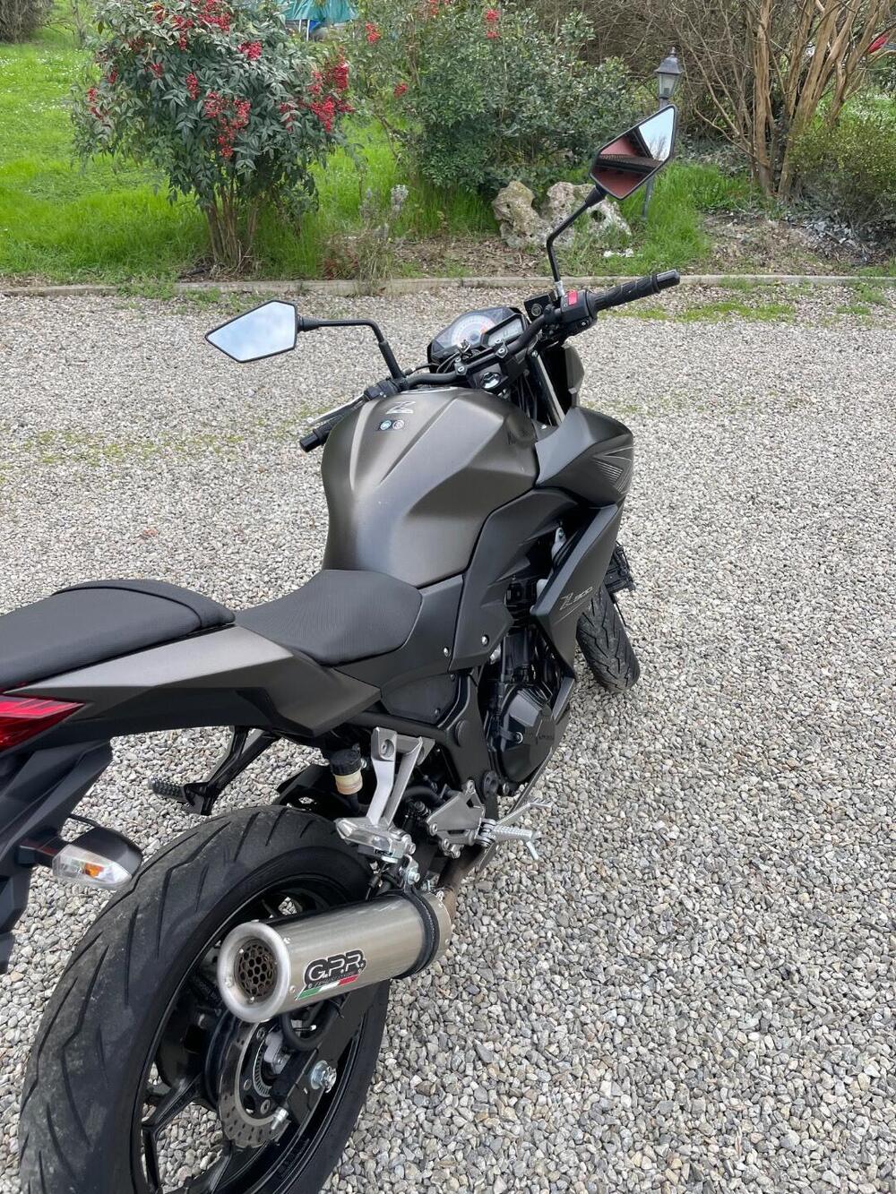 Kawasaki Z 300 ABS (2015 - 16) (5)