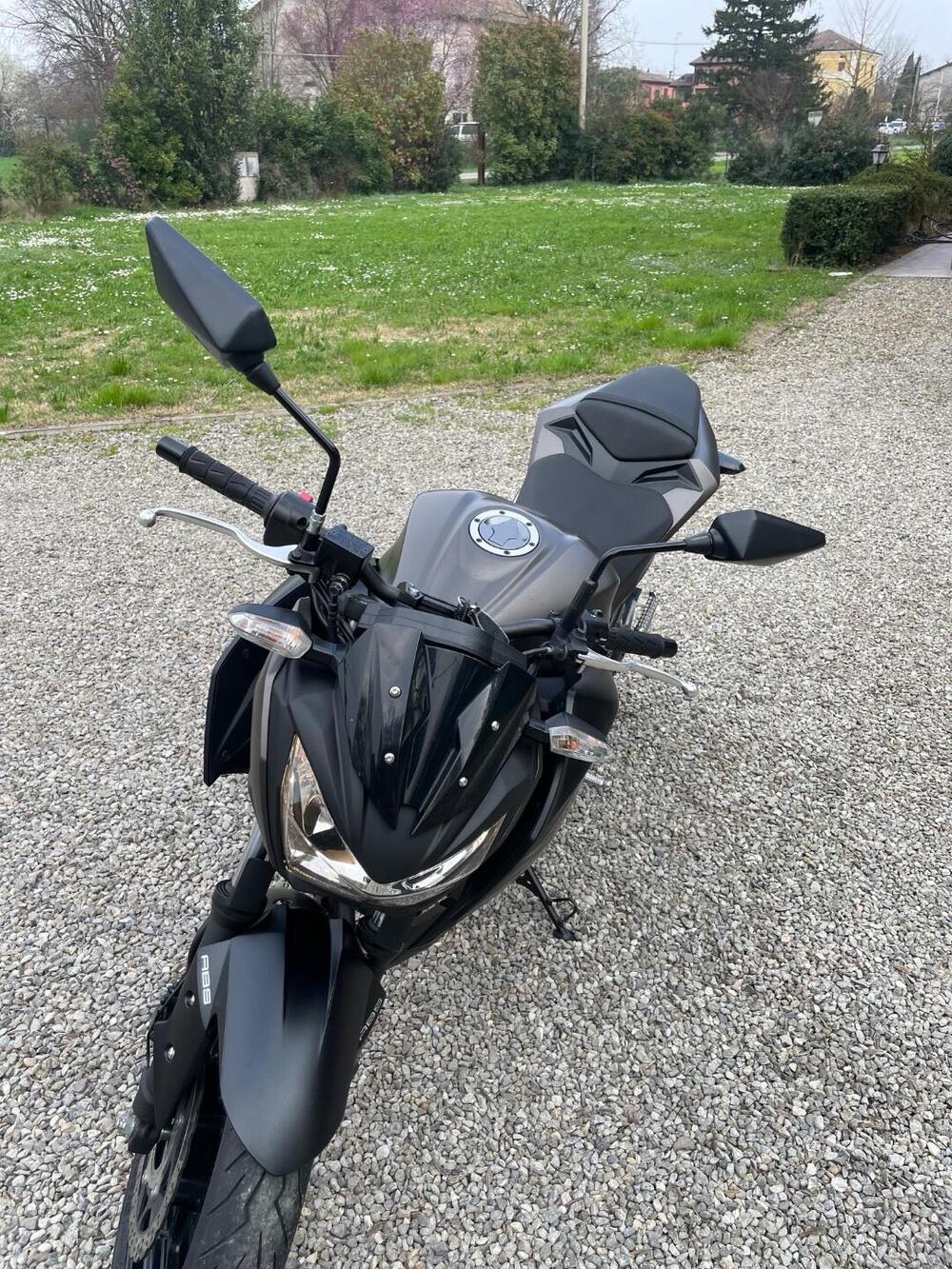 Kawasaki Z 300 ABS (2015 - 16) (6)