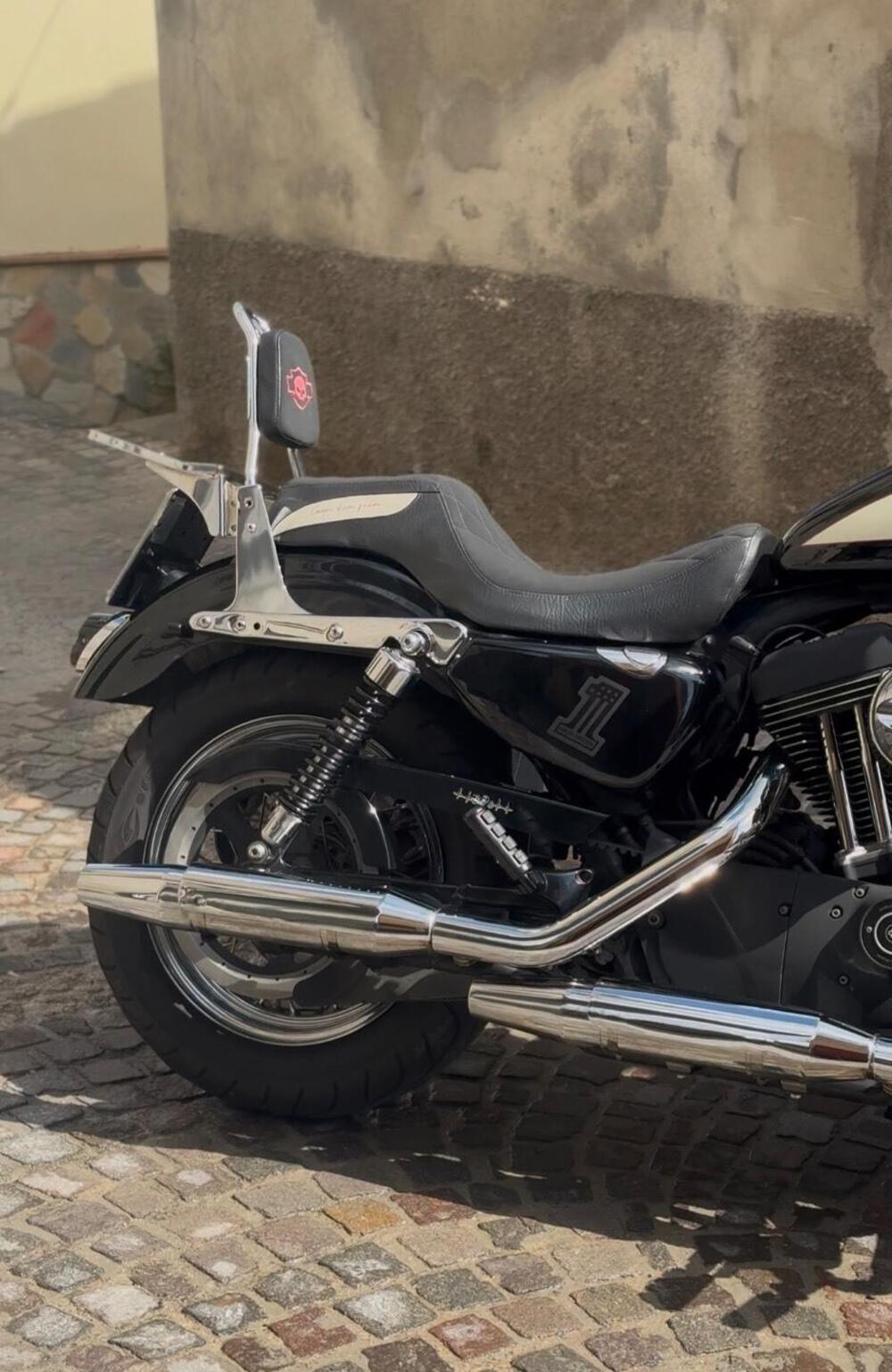 Harley-Davidson 1200 Roadster (2006 - 08) - XL 1200R (5)