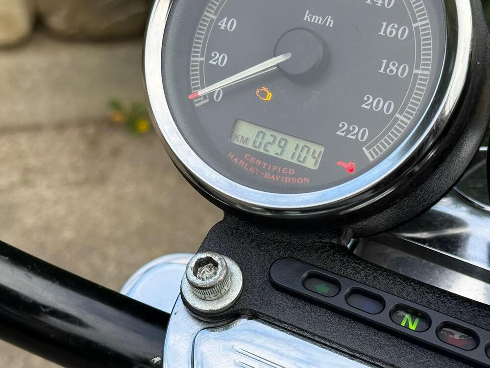 Harley-Davidson 1200 Roadster (2002 - 05) - XL 1200R (9)