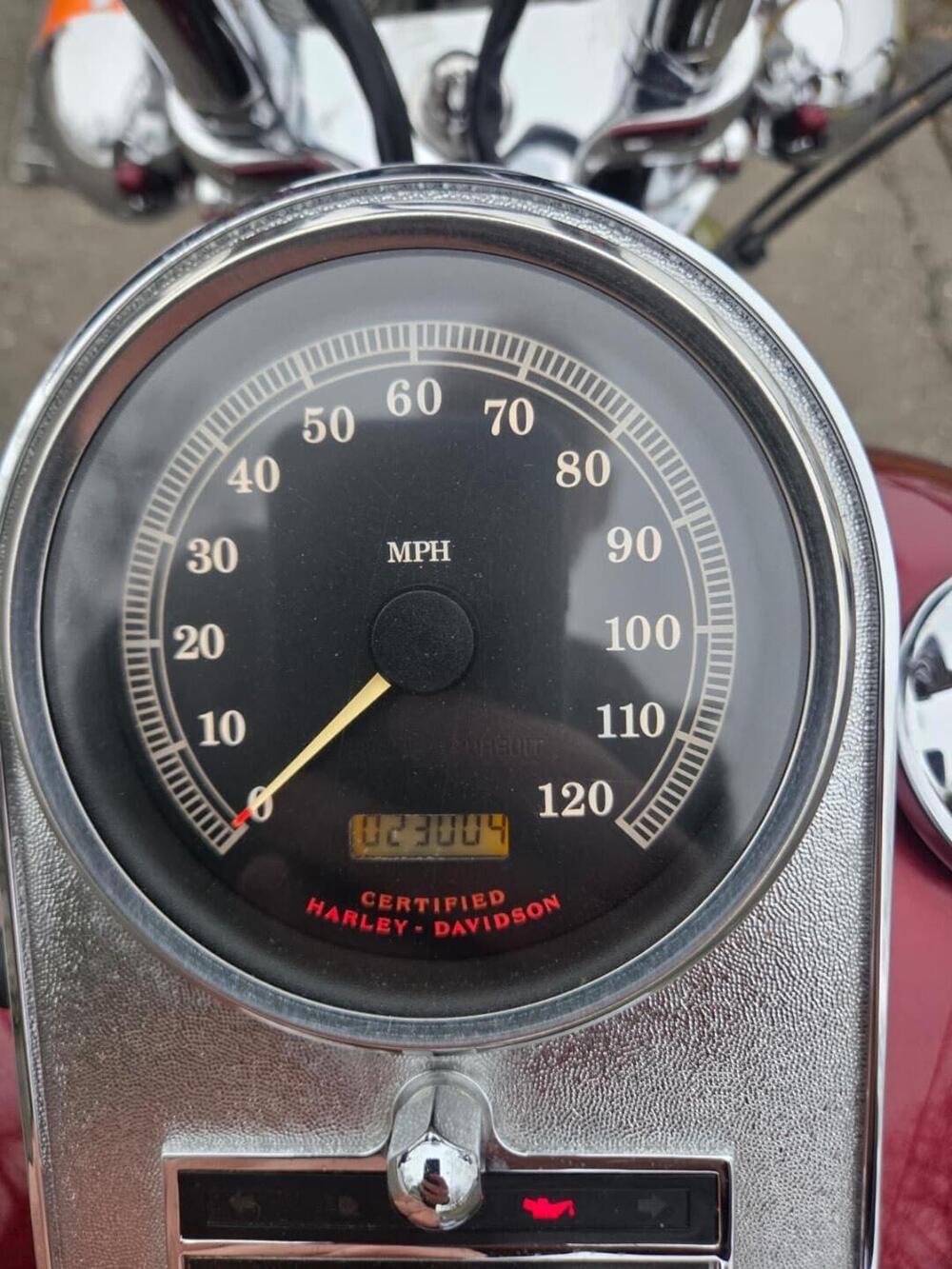 Harley-Davidson 1450 Springer (2001 - 03) - FXSTS (5)