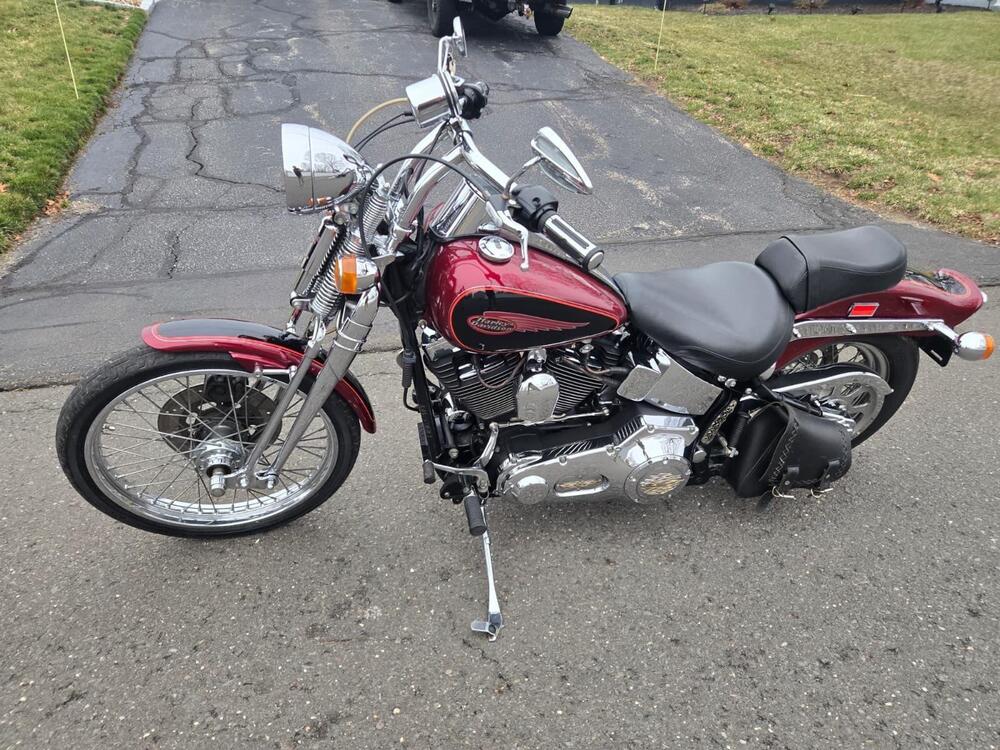 Harley-Davidson 1450 Springer (2001 - 03) - FXSTS (7)