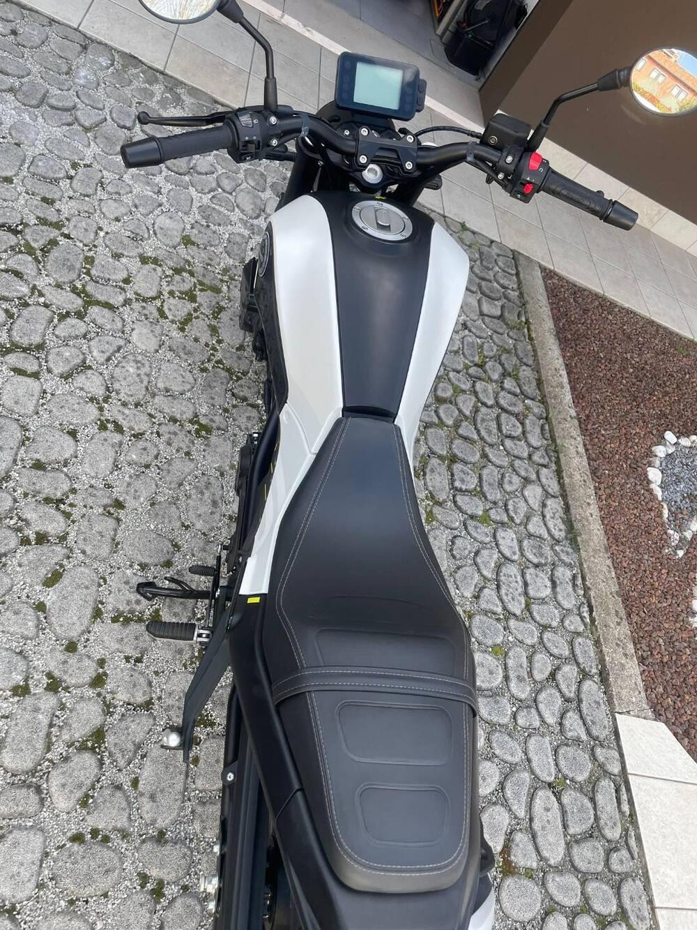 Benelli Leoncino 125 (2022 - 25) (3)