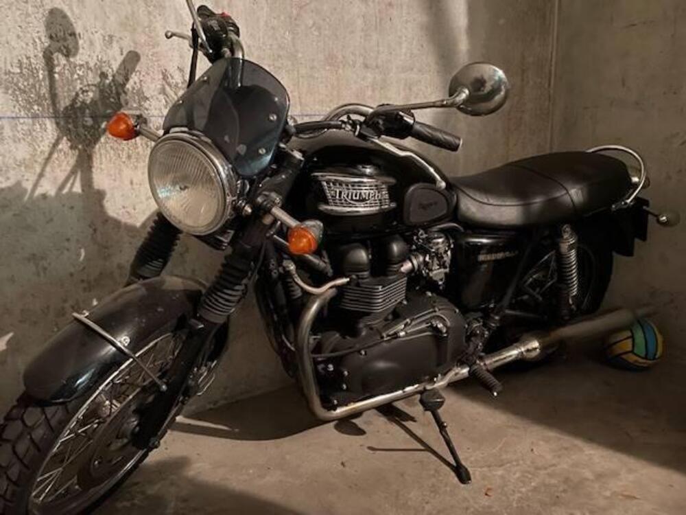 Triumph black (2)