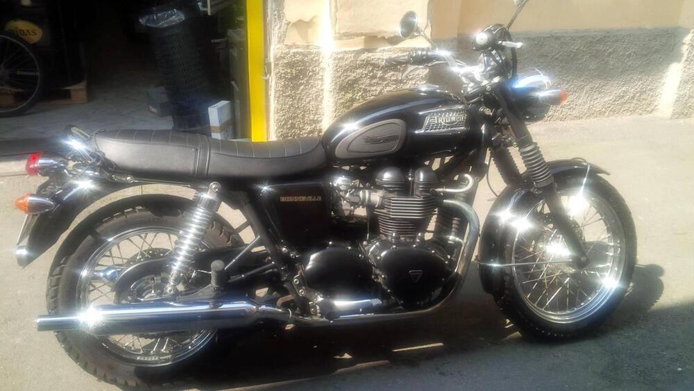 Triumph black (4)