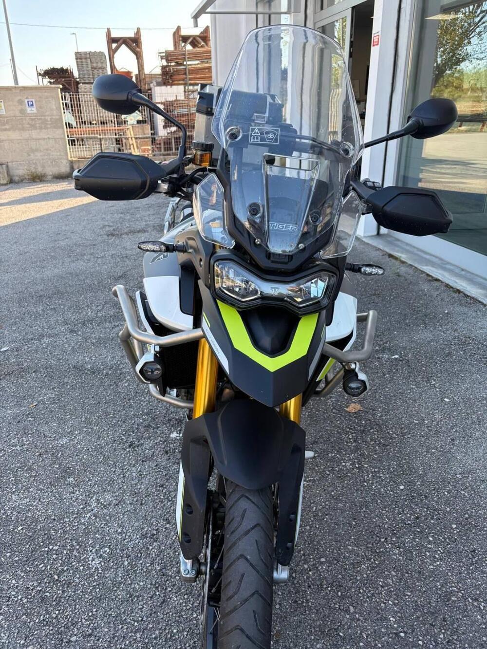 Triumph Tiger 900 Rally Aragón Edition (2023 - 24) (2)