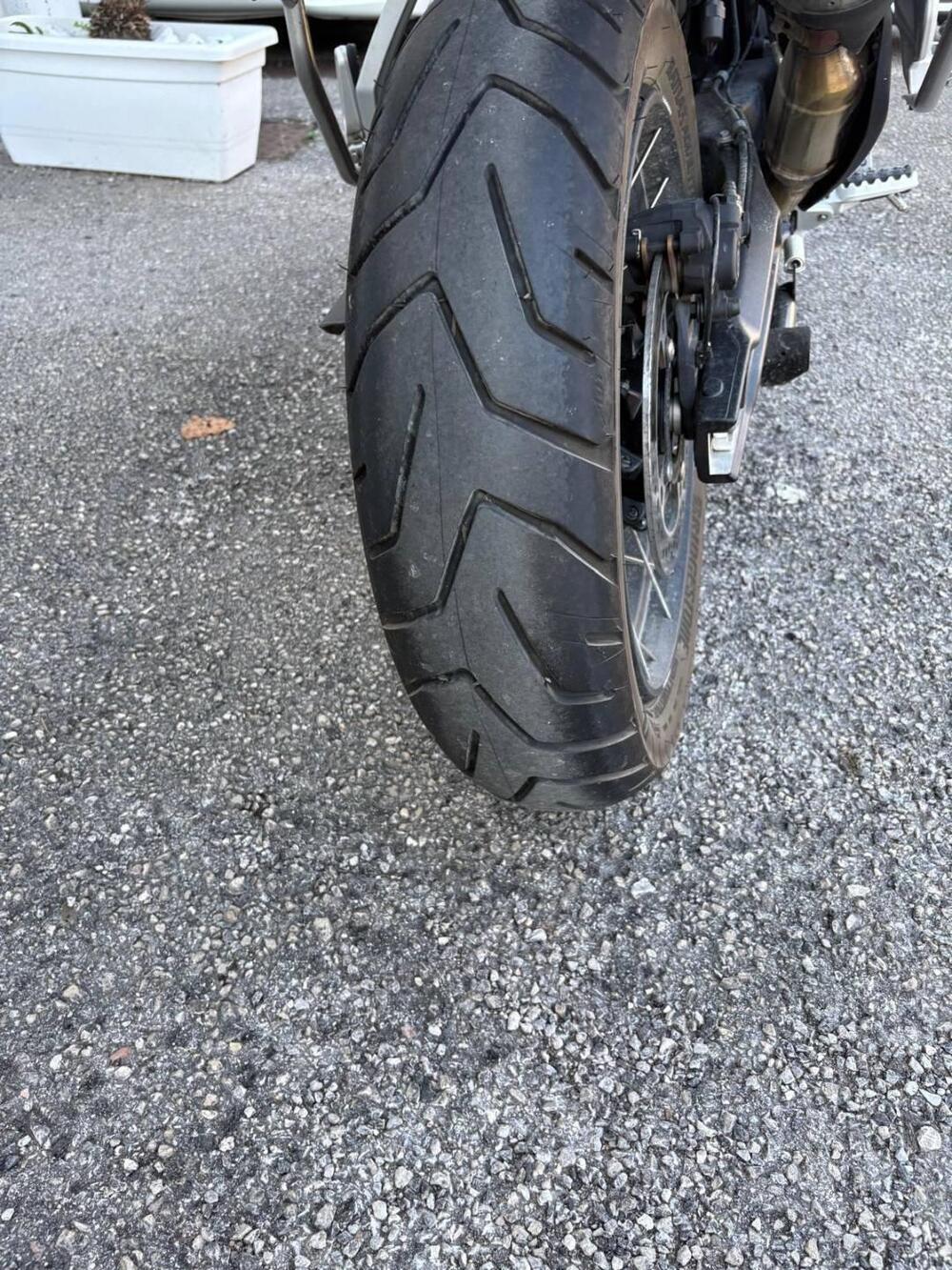 Triumph Tiger 900 Rally Aragón Edition (2023 - 24) (6)