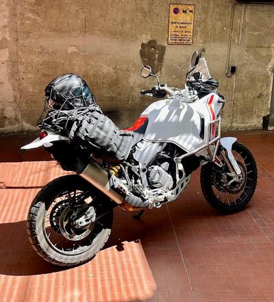 Ducati DesertX (2022 - 25) usata