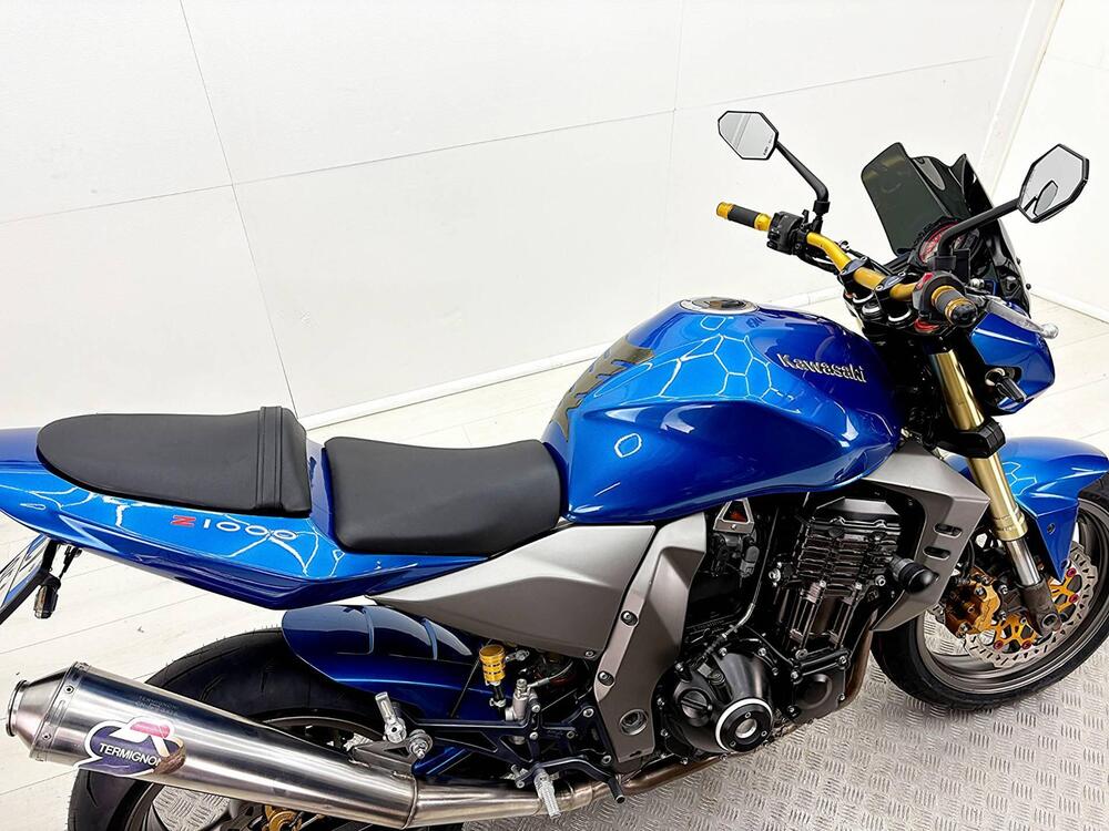 Kawasaki Z 1000 (2003 - 06) (20)