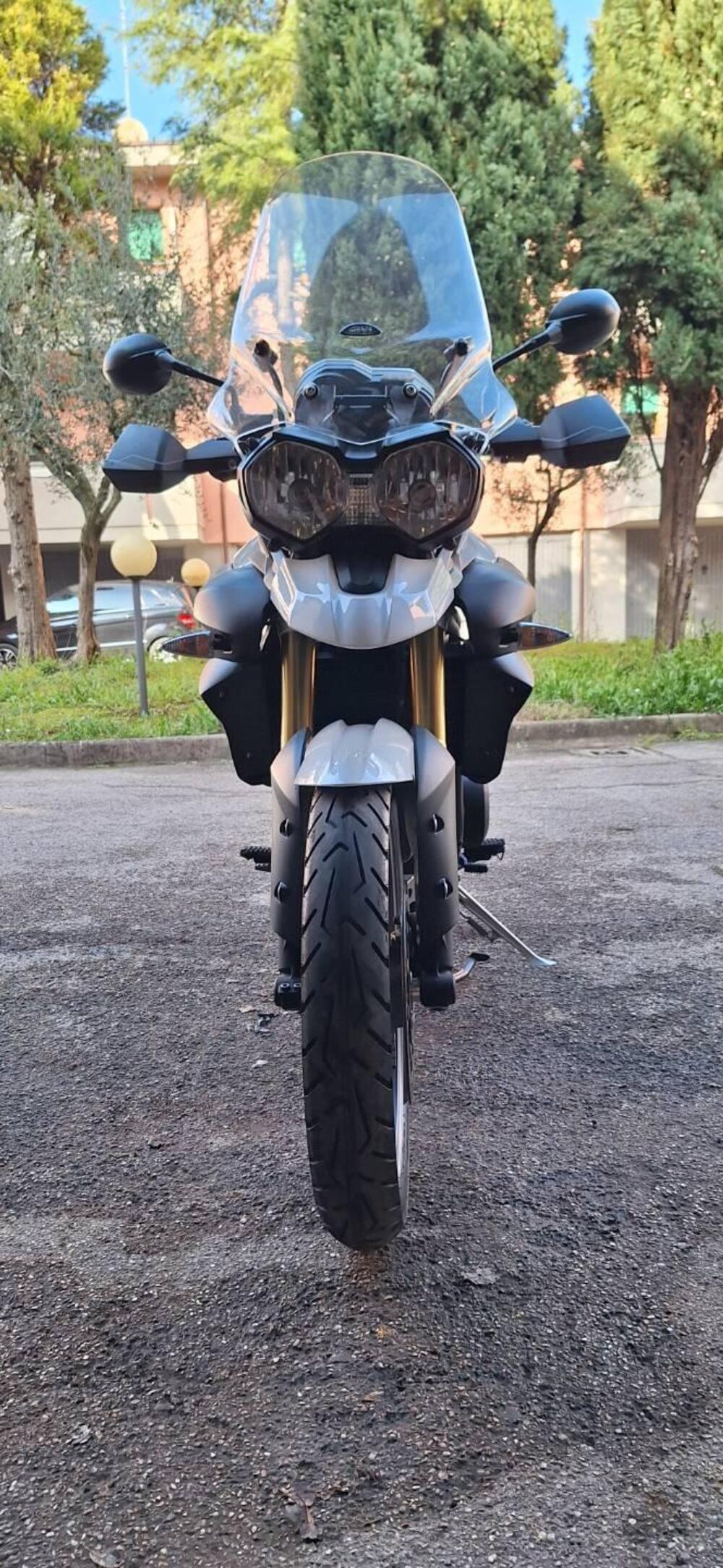 Triumph Tiger 800 ABS (2010 - 14) (3)