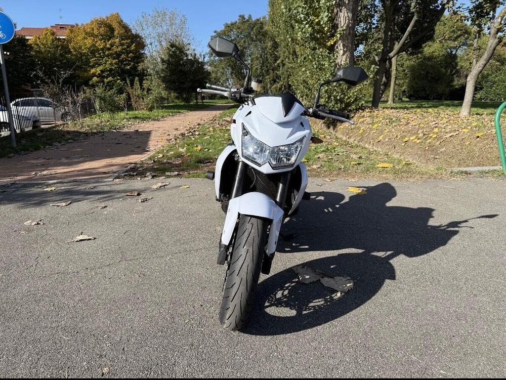 Kawasaki Z 750 (2007 - 14) (4)