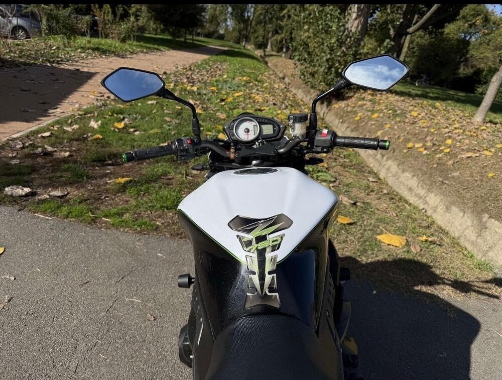 Kawasaki Z 750 (2007 - 14) (7)