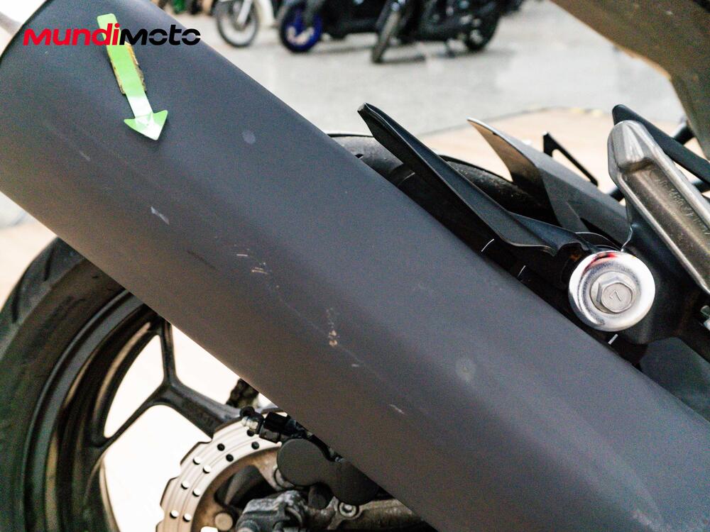 Kawasaki Ninja 300 ABS (2012 - 16) (18)