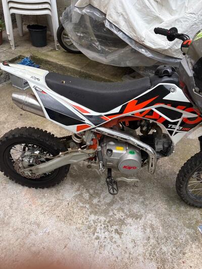  Altre moto o tipologie Pitbike usata