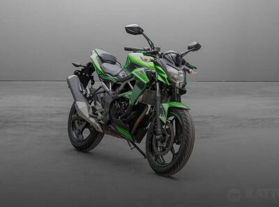 Kawasaki Z 125 (2019 - 20) usata