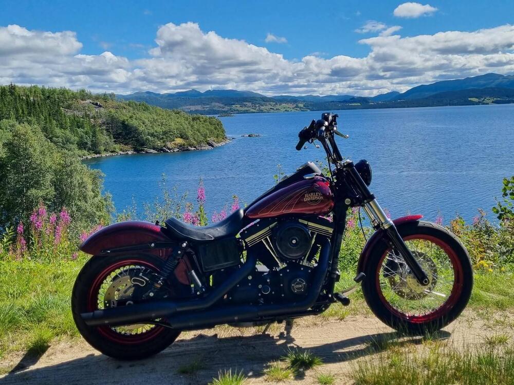 Harley-Davidson 1690 Street Bob Special (2015 - 16) - FXDB (2)