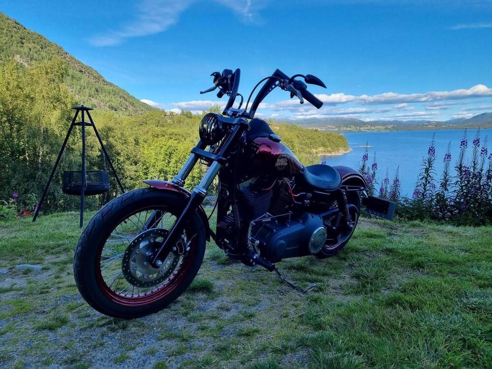 Harley-Davidson 1690 Street Bob Special (2015 - 16) - FXDB (3)