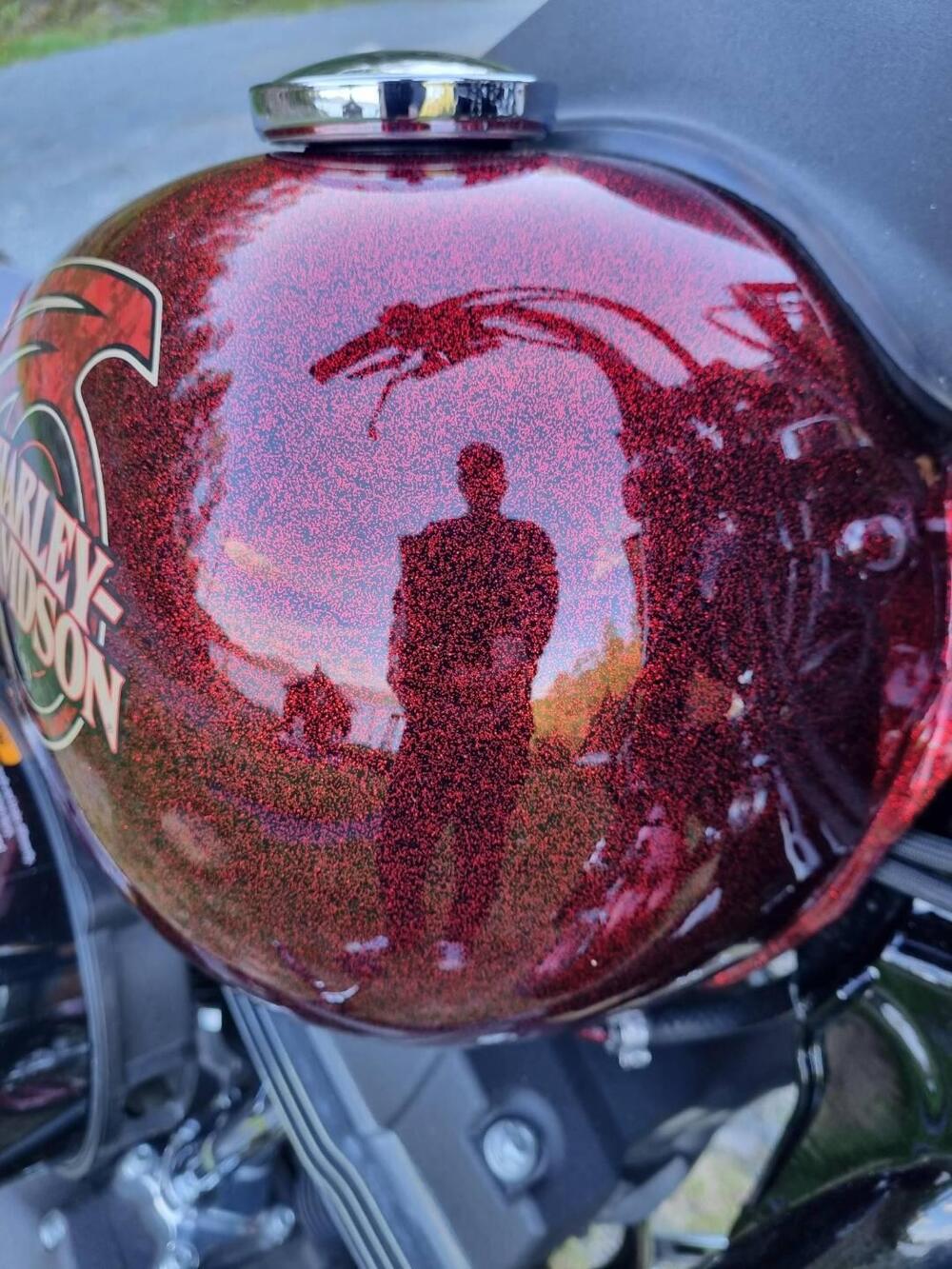 Harley-Davidson 1690 Street Bob Special (2015 - 16) - FXDB (6)